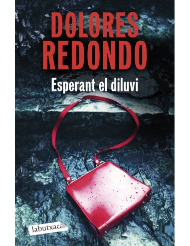 ESPERANT EL DILUVI