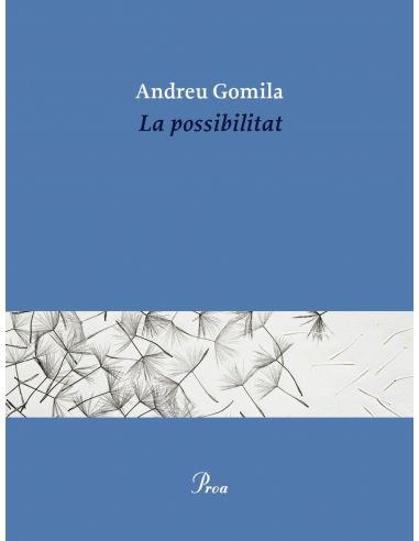 LA POSSIBILITAT