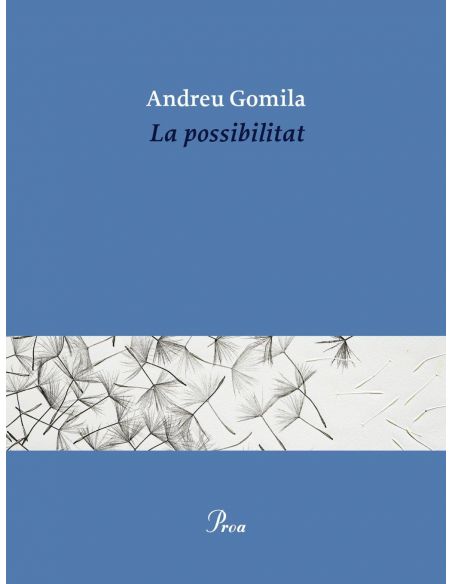 LA POSSIBILITAT