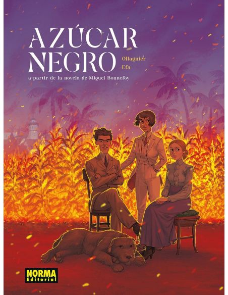 AZUCAR NEGRO
